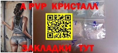 крисы Донской
