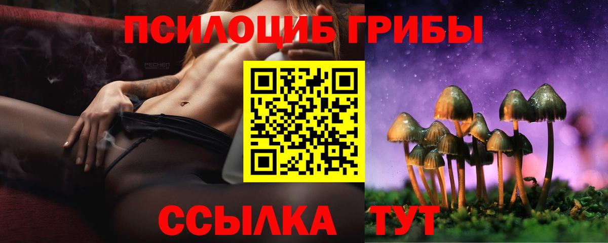 Нефтеюганск  Псилоцибиновые грибы MAGIC MUSHROOMS  Вход с VPN 